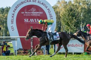 Talentovaný Talent se stal vítězem 131. Velké pardubické se Slavia pojišťovnou