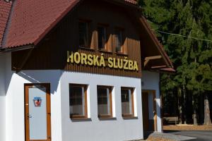Záchranáři cvičili na Šumavě záchranu osob z lanovky