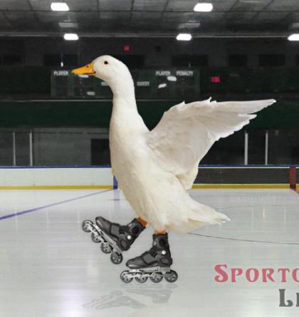 Hadamczik prozradil nové vedení reprezentace