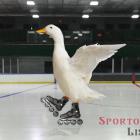 Hadamczik prozradil nové vedení reprezentace Hadamczik prozradil nové vedení reprezentace