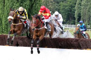 Super den pro vítěze pardubického Zlatého poháru steeplechase Jana Kratochvíla