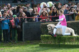 Malá Velká pardubická minikoní vyvrcholí před startem 127. Velké pardubické