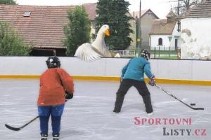 Končí hokejová extraliga na ČT?