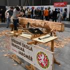 Sledovali jsme mladé řemeslníky, jak z klády vysekali mohutný trám a to na veletrhu v Letňanech Sledovali jsme mladé řemeslníky, jak z klády vysekali mohutný trám a to na veletrhu v Letňanech