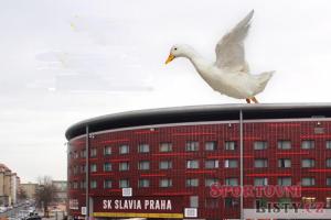 FAČR a Slavie Praha se vzdávají finále Konferenční ligy