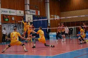 Kam v sobotu 19. ledna 2019 za sportem? Bude k vidění lední hokej, basketbal či volejbal
