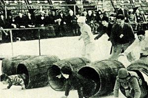 Bruslařské závody v Londýně