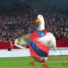Plzeň a Sparta se domluvily proti Slavii. Tajný plán skončil fiaskem