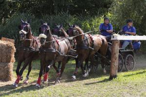 Pardubice hostily kvalifikaci Zlaté podkovy ve spřežení