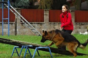 Sportovní činností k podpoře brannosti