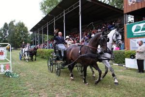 Zlatá podkova spřežení jde přes Pardubice do finále