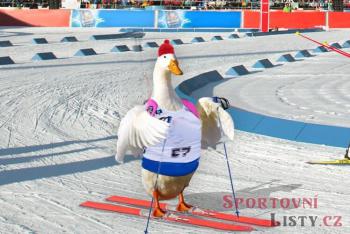 Ester Ledecká prosí o pomoc Čínu