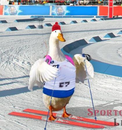 Ester Ledecká prosí o pomoc Čínu