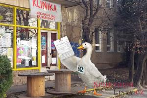 Klinika najde své využití – sídlo sportovní agentury