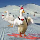 Soumrak rekreačního lyžování Soumrak rekreačního lyžování