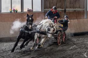 Zimní pohár spřežení v Hradištku u Sadské začne s rekordní účastí 65 kočárů