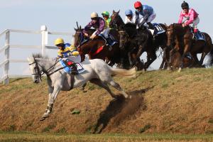 Vítěz Velké pardubické No Time To Lose v čele kvalifikace, žokej Bartoš s hattrickem