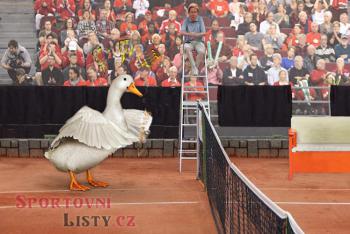 Čeští tenisté mistry světa