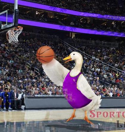 Čeští basketbalisté jedou na zápas autobusem