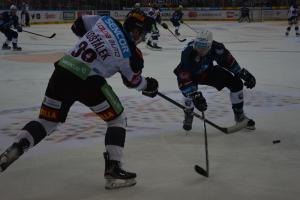 Kam v pátek 29.ledna 2021 za sportem? Na fotbal, hokej, biatlon, volejbal, házenou