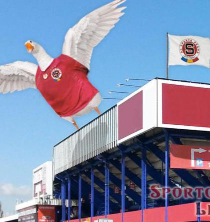 Sparta představila před ligovým startem převratnou novinku