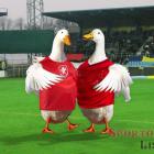 Fanoušci se skládají na reprezentanty