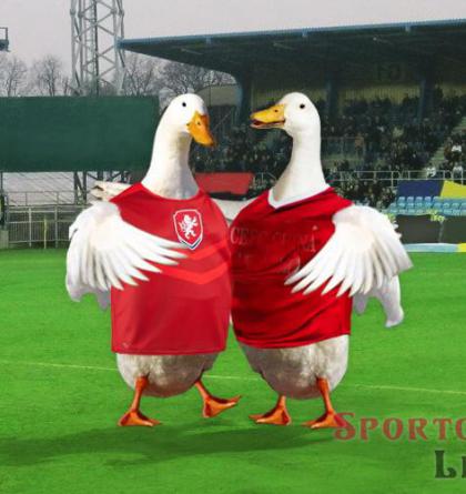 Fanoušci se skládají na reprezentanty