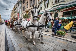 Kočárová jízda pozve na Velkou pardubickou