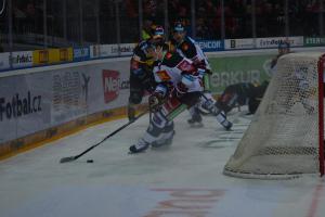 Kam 11.prosince 2022 za sportem? Hurá na extraligový hokej, volejbal se Lvi, házenou a vůbec