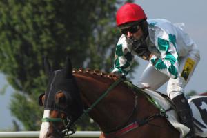 Vítězem třetí kvalifikace na Velkou pardubickou se stal Rabbit Well