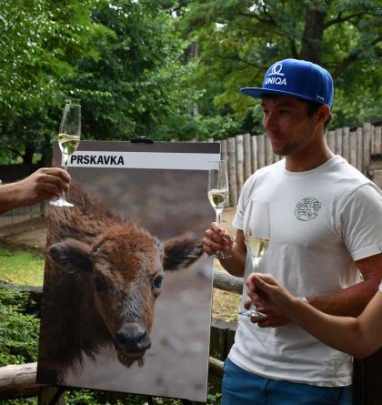 Jiří Prskavec pokřtil mládě zubra v ZOO Praha, které má jmeno začínající písmeny pr ..  Prskavka
