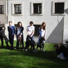 Psi a možná ani závodnicí netušili, že je v tuto chvíli zrovna fotografují  cenami z fotografických soutěží sportovních snímků ověnčení Markéta Navrátilová a Roman Vondrouš