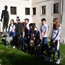 Zakladatel Sokola Miroslav Tyrš zpodobněný v soše umístěné před domem po zakladateli pojmenovaném, sleduje sportovce a psy