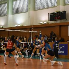 Bagrem vybraná smeč Lvic