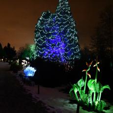 Křišťálová zahrada rozsvícená v jedné části vypadá takto