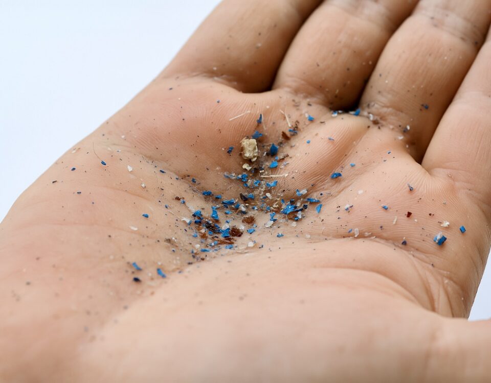 Mikroplasty v našem těle: Tichá hrozba, která narušuje imunitu i orgány