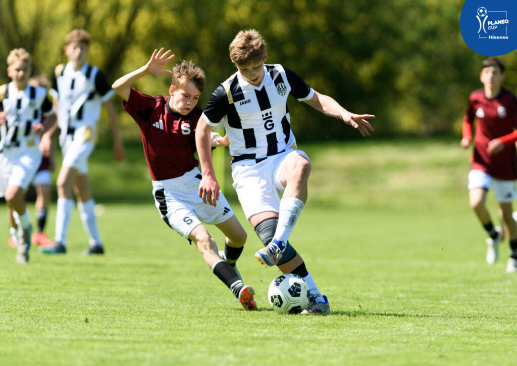 PLANEO CUP 2026