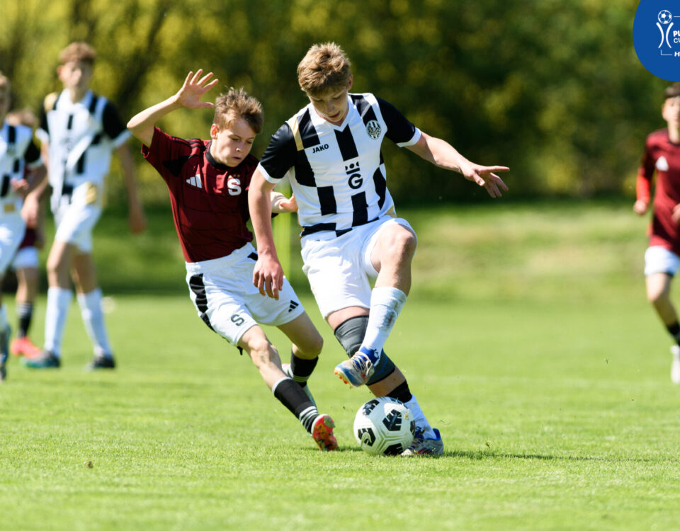 PLANEO CUP 2026