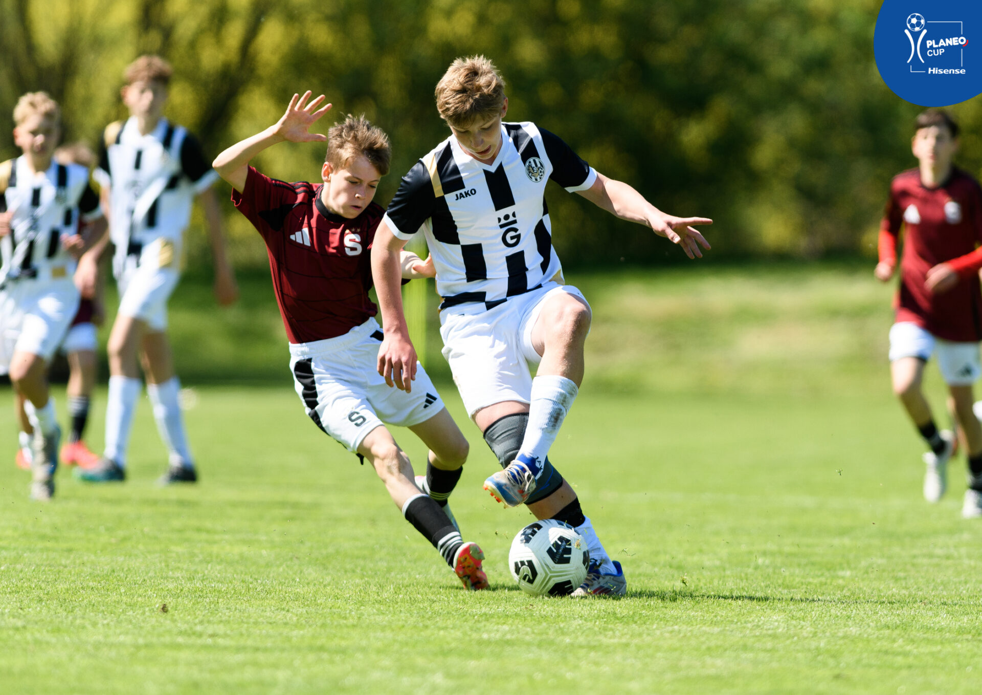 PLANEO CUP 2026